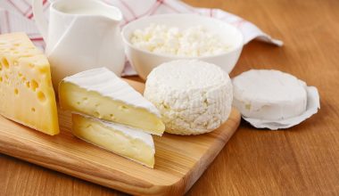 Το γνωρίζατε; – Aυτό είναι το αρχαιότερο τυρί στον κόσμο: Οι πρώτες αναφορές από τον Όμηρο