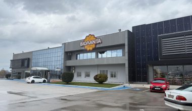 Κλείνει προσωρινά το δεύτερο εργοστάσιο του ιδιοκτήτη της «Βιολάντα»