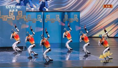 Bίντεο: Ανθρωποειδή ρομπότ στην Κίνα κάνουν κινήσεις κουνγκ φου σε παράσταση πολεμικών τεχνών