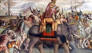 Σπουδαία ανακάλυψη στην Ισπανία: Aρχαίο κόκκαλο ίσως αποδεικνύει το πέρασμα των ελεφάντων του Αννίβα από τις Άλπεις