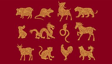 Κινέζικο ωροσκόπιο: Τα τρία ζώδια που θα γνωρίσουν μεγάλη επιτυχία εντός του 2026