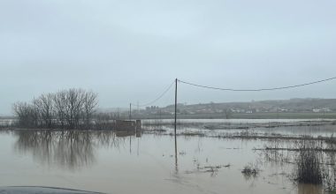 Έβρος: Υπερχείλισε ο ποταμός – Μέχρι τις γραμμές του τρένου έφτασαν τα νερά (βίντεο)