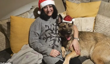 Bρετανία: 56χρονη έχασε όλα τα άκρα της από σηψαιμία όταν ο σκύλος της έγλειψε μια πληγή