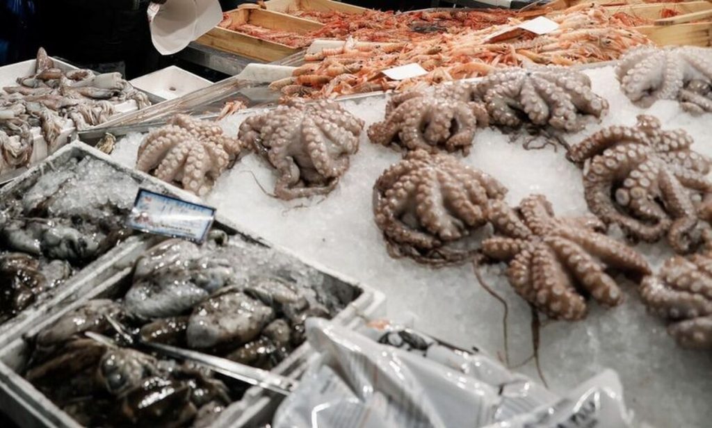 Τα «γαλλικά» ιχθυοπώλη από την αγορά του Μενιδίου για τις τιμές στα ψάρια: «Γ@μ… τον μπελά μου» (βίντεο)