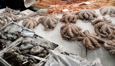 Τα «γαλλικά» ιχθυοπώλη από την αγορά του Μενιδίου για τις τιμές στα ψάρια: «Γαμ… τον μπελά μου» (βίντεο)