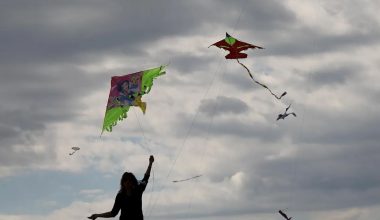 Θ.Κολυδάς: Τα επιστημονικά μυστικά για το πέταγμα του χαρταετού την Καθαρά Δευτέρα