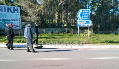 Αρκίτσα Φθιώτιδας: Μικρή φώκια βγήκε…στη στεριά – Την βοήθησαν να επιστρέψει στη θάλασσα (βίντεο)