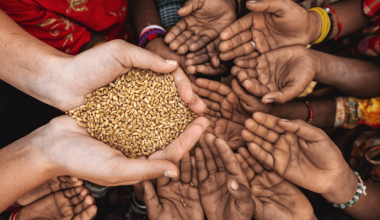 Ρωσικό ΥΠΕΞ: «Η επισιτιστική κρίση είναι δημιούργημα της Δύσης για να κατηγορηθεί η Ρωσία»