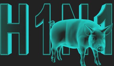 Γρίπη των Χοίρων: Πιθανή μετάδοση παραλλαγής της ασθένειας από άνθρωπο σε άνθρωπο στην Ισπανία