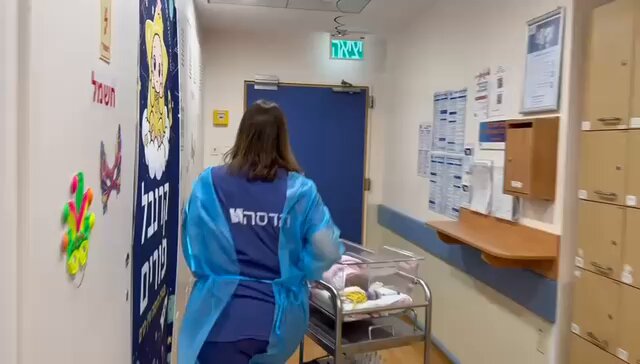 Bίντεο: Η στιγμή που μεταφέρουν τα νεογνά στα καταφύγια