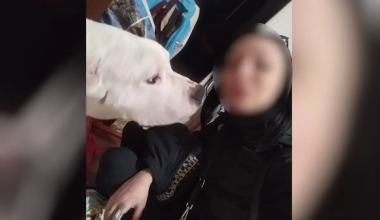 Θάνατος εγκύου στον Κολωνό – Γειτόνισσα ζευγαριού: «Ο 38χρονος της φώναζε “ψόφα σαν σκυλί”»