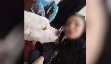 Νεκρή στη σκάλα του σπιτιού της βρέθηκε η 30χρονη έγκυος στον Κολωνό – Τα ευρήματα του ιατροδικαστή και οι μώλωπες