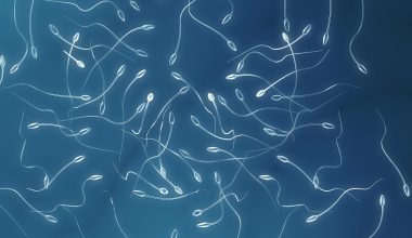 Δείτε τι συμβαίνει στο σπέρμα εάν παραμείνει μέσα στο ανδρικό σώμα (βίντεο)