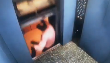 Ινδία: Θάλαμος ασανσέρ «εκτινάχθηκε» ξαφνικά προς τα πάνω την ώρα που έβγαινε άνδρας (βίντεο)