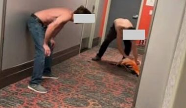 Σκληρή κακοποίηση φλαμίνγκο στις ΗΠΑ: Τουρίστας του έσπασε το φτερό για να μην ξεφύγει – Το έκλεψε από τον βιότοπο