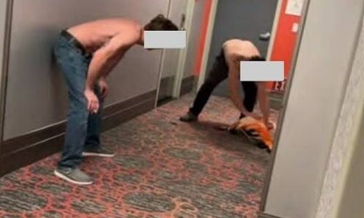 Σκληρή κακοποίηση φλαμίνγκο στις ΗΠΑ: Τουρίστας του έσπασε το φτερό για να μην ξεφύγει – Το έκλεψε από τον βιότοπο