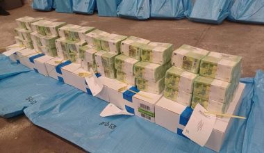 Οι ουγγρικές αρχές επιδεικνύουν τεράστια ποσά μετρητών που κατάσχεσαν από Ουκρανούς κυβερνητικούς