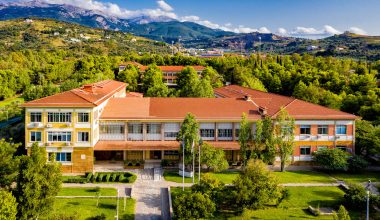 Πάτρα: Φοιτητής έκανε απόπειρα αυτοκτονίας κόβοντας της φλέβες του – Μετά από λίγο φώναξε το ΕΚΑΒ