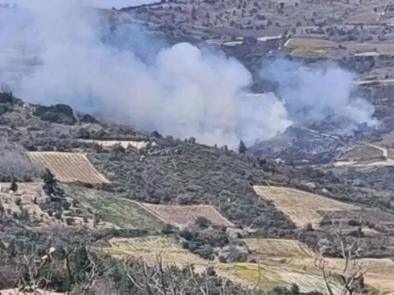 Σοφιανά Κορινθίας: Μεγάλη φωτιά σε δασική έκταση – Άμεση κινητοποίηση της Πυροσβεστικής