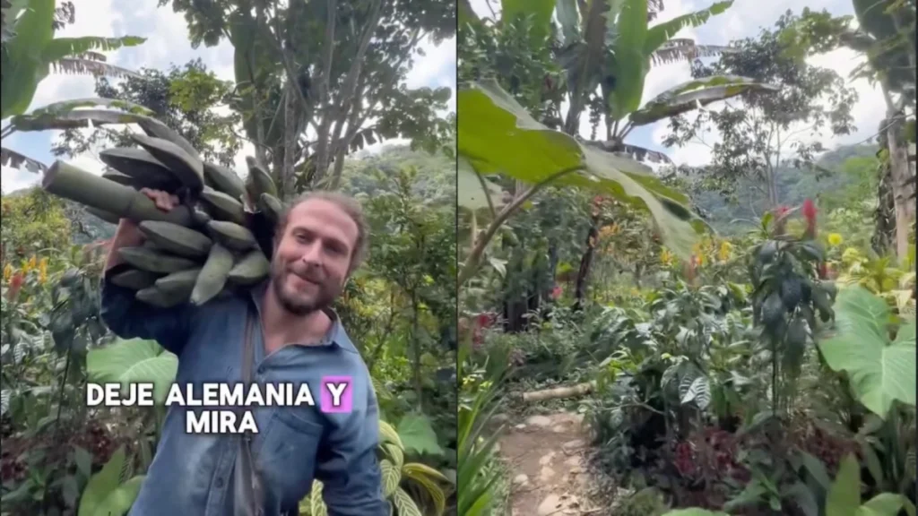 Άφησε τη Γερμανία και καλλιεργεί δικό του «δάσος καφέ»…στην Κολομβία – Ο αγρότης που έγινε viral (βίντεο)