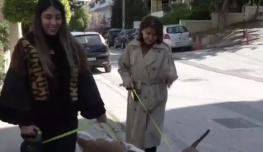 Ιρανή που μένει στην Ελλάδα: «Στο Ιράν απαγορεύονται τα σκυλιά γιατί θεωρούνται βρόμικα» (βίντεο)