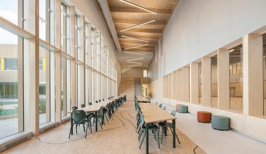 Νέα Ζηλανδία: Δασκάλα δημιουργούσε πορνογραφικό υλικό σε σχολική τάξη – Κατέγραψε τον εαυτό της να ουρεί!