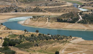 Βίντεο: Το Ισραήλ κατέστρεψε γέφυρα στον ποταμό Λιτάνι από την οποία μεταφέρονταν δυνάμεις της Χεζμπολάχ