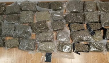 Συνελήφθησαν δύο άνδρες που έκαναν επάγγελμα την διακίνηση – Η ΕΛΑΣ εντόπισε πάνω από 51 κιλά κάνναβης (φωτο)