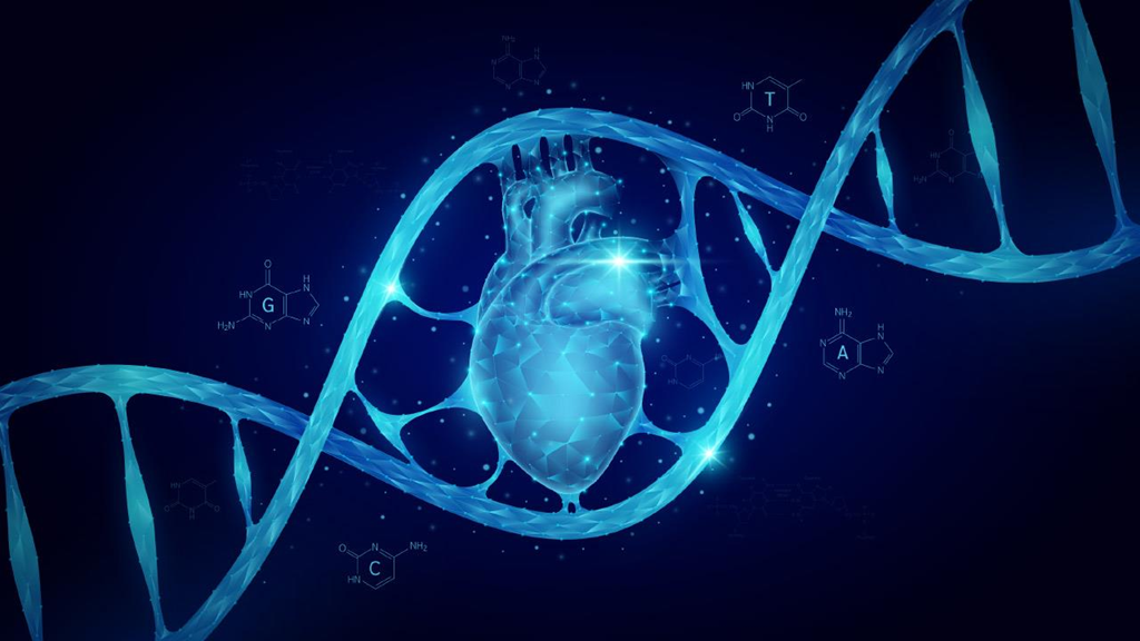 Ο λόγος που ο καρκίνος της καρδιάς είναι τόσο σπάνιος