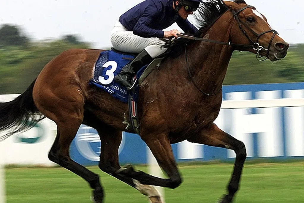 Τουρκία: Σκότωσαν άλογο ιπποδρομιών και το σέρβιραν σε ανυποψίαστους πολίτες σε συσσίτιο του δήμου!