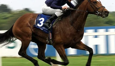 Τουρκία: Σκότωσαν άλογο ιπποδρομιών και το σέρβιραν σε ανυποψίαστους πολίτες σε συσσίτιο του δήμου!