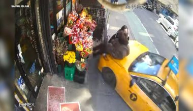 Νέα Υόρκη: Οδηγός ταξί έχασε τον έλεγχο, χτύπησε δύο γυναίκες και τις εκσφενδόνισε! (βίντεο)