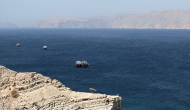 Ιαπωνία: «Η αποστολή πολεμικών πλοίων στα Στενά του Ορμούζ δεν είναι εύκολη υπόθεση – Έχει υψηλό ρίσκο»