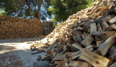 Αυτός είναι ο Δήμος που θα δώσει δωρεάν καυσόξυλα λόγω της επερχόμενης κακοκαιρίας