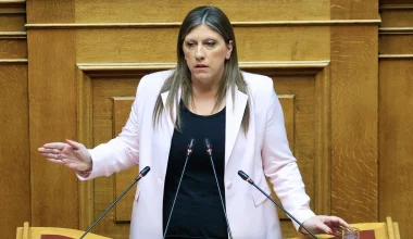 Τα κρακεράκια του Άδωνι Γεωργιάδη αίτια του βίντεο της Ζ.Κωνσταντοπούλου