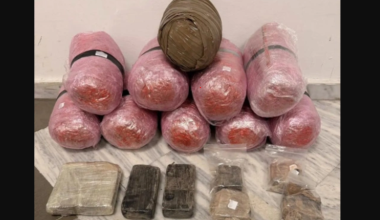 Συνελήφθη 39χρονο αλλοδαπός για κατοχή και διακίνηση ναρκωτικών: Τα εντόπισε ο αστυνομικός σκύλος «Vektor»