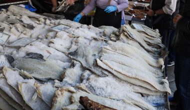 25η Μαρτίου: «Αλμυρός» φέτος ο μπακαλιάρος – Σε τι τιμές θα τον βρούμε