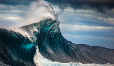 Νέα μελέτη: Χωρίς «ανάσα δροσιάς» ο ωκεανός στον Παναμά για πρώτη φορά μετά από 40 χρόνια