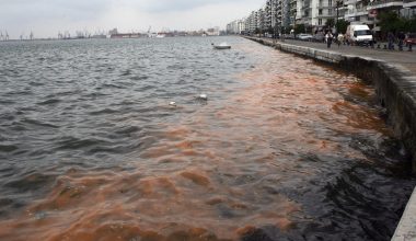 «Κόκκινος» βάφτηκε ο Θερμαϊκός Κόλπος στη Θεσσαλονίκη: Τι είναι το φαινόμενο της Ερυθράς Παλίρροιας