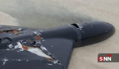 Οι ιρανικές δυνάμεις κατέρριψαν αμερικανικό drone Lucas (φωτο)