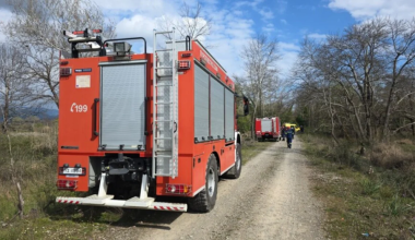 Νεκρός 68χρονος στη Λαμία: Καταπλακώθηκε από δέντρο μπροστά στα μάτια της γυναίκας του