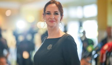 Πρωθυπουργός Λιθουανίας: «Το drone που συνετρίβη χθες προερχόταν από την Ουκρανία»