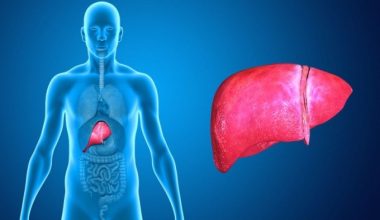 Το ρόφημα που καθαρίζει συκώτι και έντερο σε 3 μέρες