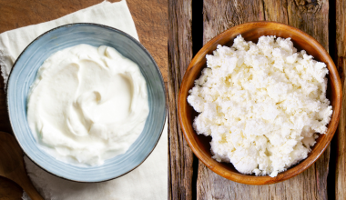 Γιαούρτι vs τυρί cottage: Τελικά ποιο είναι πιο υγιεινό; – Τα οφέλη που έχουν για τον οργανισμό