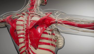 Πόσες μέρες ξεκούρασης χρειάζονται οι μύες – Το λάθος που κάνουν οι περισσότεροι στην προπόνηση