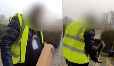 Συνελήφθη διανομέας στη Βρετανία: Τους παρέδωσε το δέμα αλλά… τους «βούτηξε» τη γάτα (βίντεο)