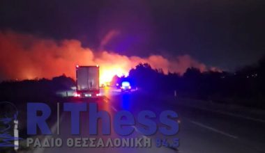 Φωτιά στα Μάλγαρα: Ισχυρές πυροσβεστικές δυνάμεις στο σημείο για την κατάσβεσή της (βίντεο)