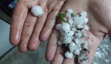 Κορινθία: Έντονη χαλαζόπτωση έπληξε τη Νεμέα και τα Δερβενάκια