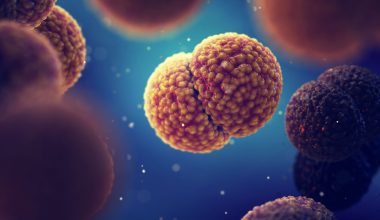 «Θερίζει» η μηνιγγίτιδα παγκοσμίως: Απαραίτητη η έγκυρη διάγνωση – Τα «αόρατα» σημάδια που δεν πρέπει να αψηφήσεις