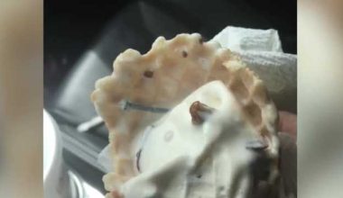 ΗΠΑ: Γυναίκα έφαγε παγωτό με μεταλλικά καρφιά & πήρε 14 εκατ. δολ. αποζημίωση – Δεν μπορεί να αποκτήσει παιδιά